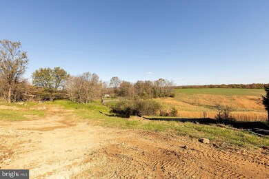 1956 Collinsville Rd, Cross Junction, VA 22625 - photo 4