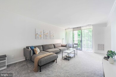 5065 7th Rd S unit 202, Arlington, VA 22204 - photo 6