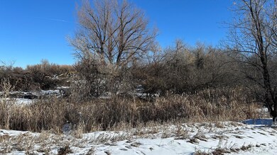 Lot 15-wetlands
