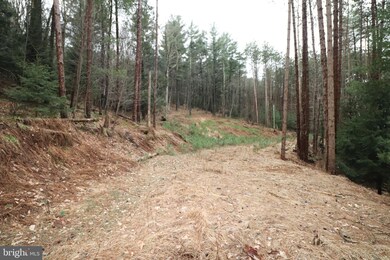 0 Spruce Hollow Rd unit PACC2001074, Palmerton, PA 18071 - photo 5