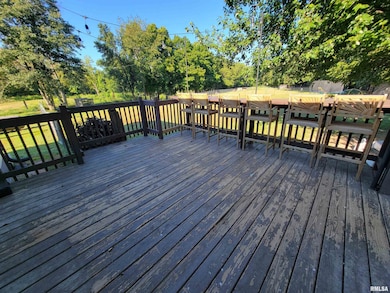 2517 Cherrybark Ln, Flora, IL 62839 - photo 4