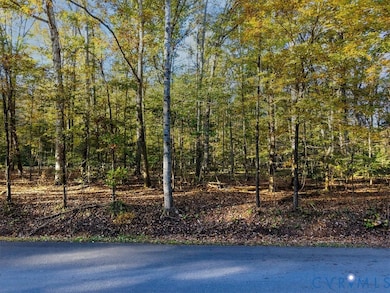 TBD Old River Trail, Powhatan, VA 23139 - photo 5