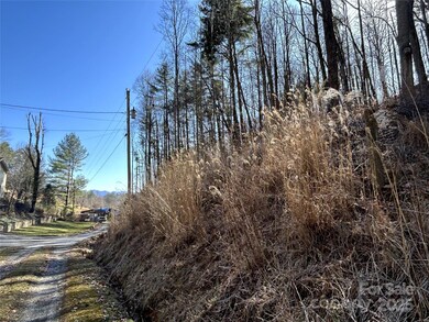 99999 Lloyd Dr unit 3, Mars Hill, NC 28754 - photo 7