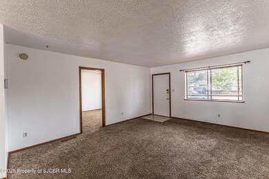 319 N Moore St, Bloomfield, NM 87413 - photo 6