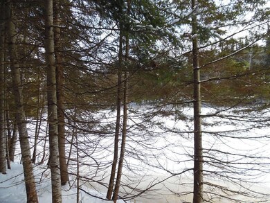 4 Property riverbank