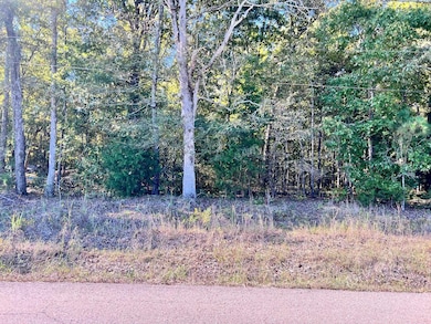 0 Melvin Qualls Rd, Michie, TN 38357 - photo 2