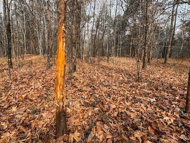 County Road 501, Lexington, AL 35648 - photo 5