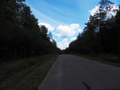 Lot 10 Eagle Waters Rd, Tomahawk, WI 54487 - photo 5
