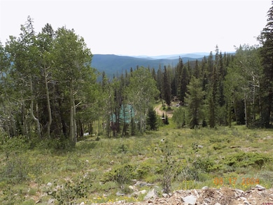 159 Lime Bluff Dr, Pitkin, CO 81241 - photo 6