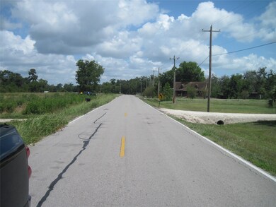 0 Cr 461 unit 88803174, Brazoria, TX 77422 - photo 3