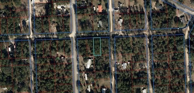 0 NE 67th St unit MFRGC535387, Bronson, FL 32621 - photo 2