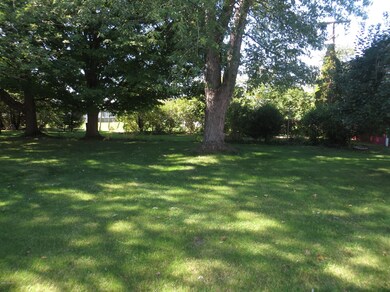 Douglas Backyard