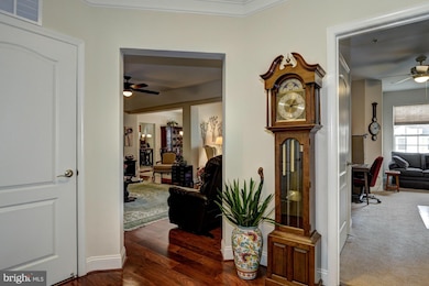 8606 Wintergreen Ct unit 402, Odenton, MD 21113 - photo 3