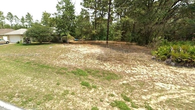 1139 W Hampshire Blvd, Dunnellon, FL 34434 - photo 2