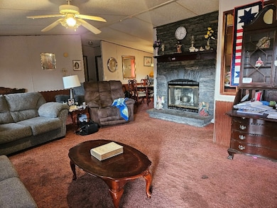 1222 Austin Ln, Chilhowie, VA 24319 - photo 3