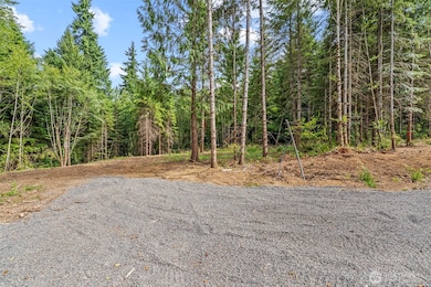 1792 Spirit Lake Hwy unit Lot 1, Castle Rock, WA 98611 - photo 5