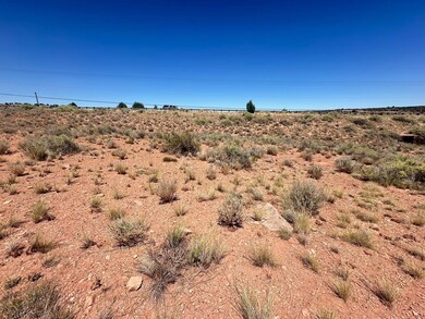 0 W Shumway Rd, Taylor, AZ 85901 - photo 4