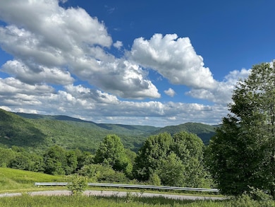 567 Headwaters Rd, Slatyfork, WV 26291 - photo 7