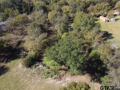 TBD County Road 2940, Alba, TX 75410 - photo 7