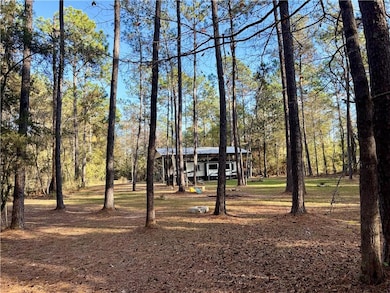 26024 Pineview Dr, Folsom, LA 70446 - photo 5