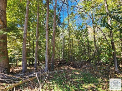 0 Turner Ashby Rd, Chatmoss, VA 24112 - photo 5