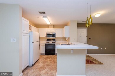 5951 Millrace Ct unit C101, Columbia, MD 21045 - photo 6
