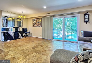 101 Fitz Ct unit 102, Reisterstown, MD 21136 - photo 4