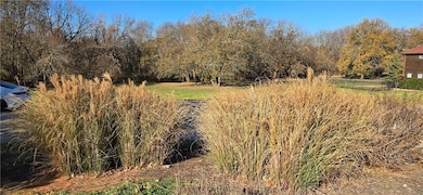 701 6th St, Baldwin City, KS 66006 - photo 3