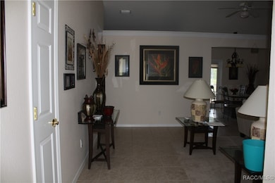 10221 W Pamondeho Cir, Crystal River, FL 34428 - photo 4