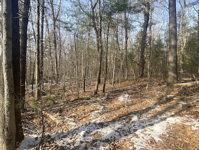 121 Sturbridge Rd, Brimfield, MA 01010 - photo 2