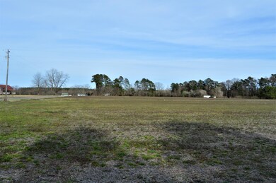 Field