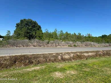 1237 Egan Hwy, Egan, LA 70531 - photo 2