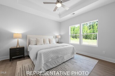 4455 Poppy Mallow Ln, Stem, NC 27581 - photo 5
