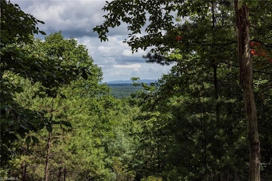 Lot 158 Carriage House Trail, McGrady, NC 28649 - photo 4