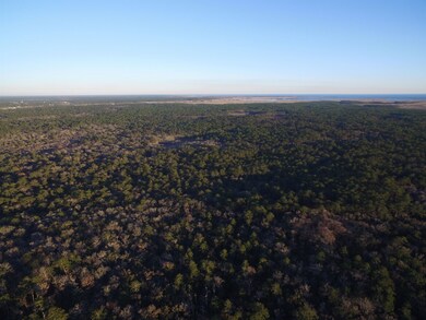 xx Simmie Dr, Crawfordville, FL 32327 - photo 3