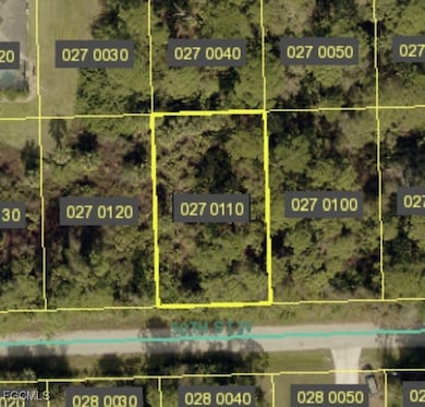 3606 50th St W, Lehigh Acres, FL 33971 - photo 2