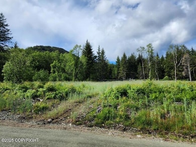 Lot 7 Barnett St W, Haines, AK 99827 - photo 5