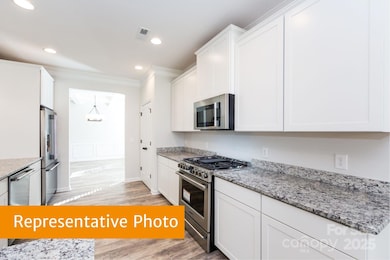 12155 Muscadine Ct, Midland, NC 28107 - photo 4