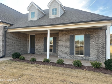 705 Lucas Ln, Hernando, MS 38632 - photo 5