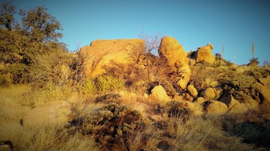 IMG_20160131_073257985