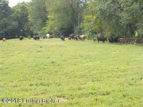 510 Ashes Creek Rd, Bloomfield, KY 40008 - photo 7