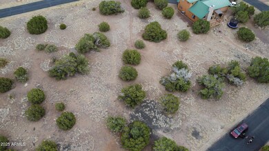 1927 Creekside Cir unit 92, Show Low, AZ 85901 - photo 3