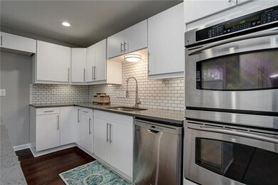Stainless Steel Double Oven with Commercial Kitche