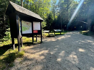 22 von Hippel Ln, Albany, NH 03818 - photo 4