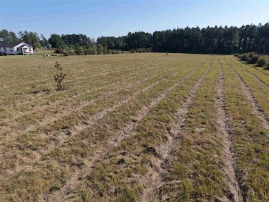 465 Lucius Marcantel Rd, Dequincy, LA 70633 - photo 2