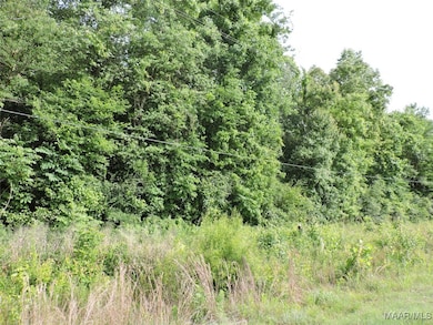 00 Mobile Rd, Greenville, AL 36037 - photo 3