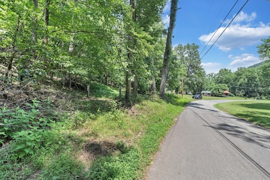 6133 Poor Mountain Rd, Salem, VA 24153 - photo 2