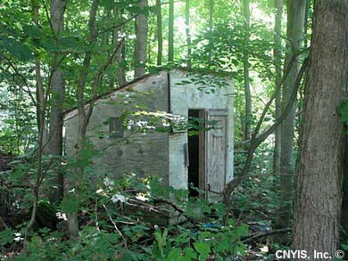 Shed Small Shed