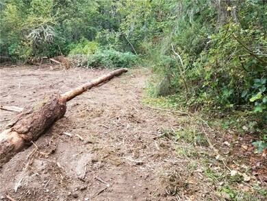 8210 128th Ave Ct, Anderson Island, WA 98303 - photo 5