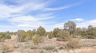 000 E Simons, Williams, AZ 86046 - photo 2